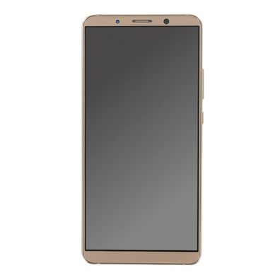 OEM Displayeinheit + Rahmen für Huawei Mate 10 Pro gold, ohne Logo