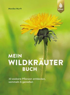 Mein Wildkraeuterbuch 30 essbare Pflanzen entdecken, sammeln und ge