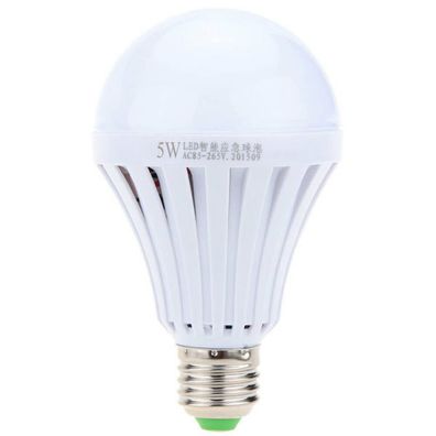 Intelligent Emergency Bulb 5W