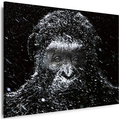 Leinwand Bilder Affen Tiere Planet der Affen Film Premium Kunstdruck Wandbilder Top