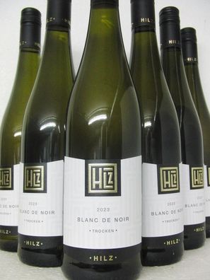 6 FL 2023 Blanc de Noir Weißwein trocken Weingut Klaus Hilz Pfalz