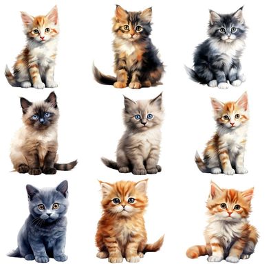 Bügelbild Bügelmotiv Katze Kitten Junge Baby Mädchen verschiedene Größen
