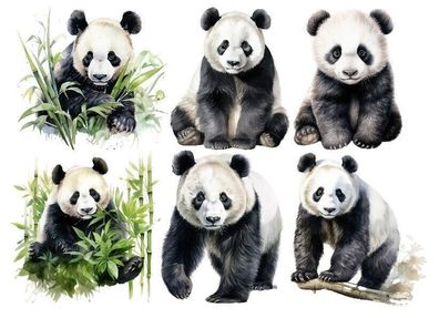 Bügelbild Bügelmotiv Panda Bär Pandabär Junge Mädchen verschiedene Größen