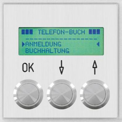 Behnke 20-2006 Modul Display m. Telefonbuchfunktion 199Einträge