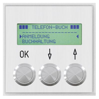 Behnke 20-2006-IP Modul Display m. Telefonbuchfunkt. 60Einträge