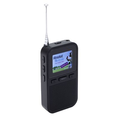 Denver Pocket DAB+/FM Radio mit Akku DAH-126