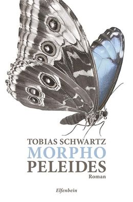 Morpho peleides, Tobias Schwartz