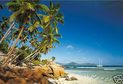 Fototapete 98093 Tropical Bay - 368 x 254 cm - Komar - neu - originalverpackt