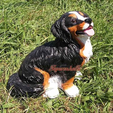 Australian Sheperd Figur Dekofigur Hund Statue Skulptur Hund Deko Fan Artikel