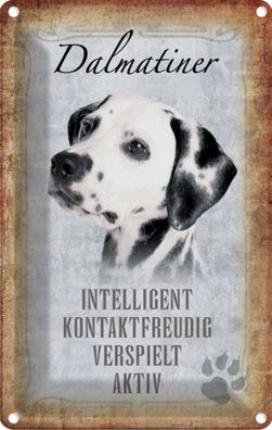 vianmo Blechschild 20x30 cm gewölbt Tier Dalmatiner Hund Geschenk