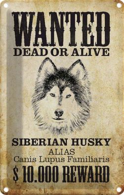 Blechschild 20x30 cm - Hund Wanted Siberian Husky