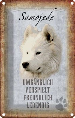vianmo Blechschild 20x30 cm gewölbt Tier Samojede Hund Geschenk Metal