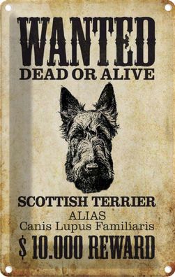 Blechschild 20x30 cm - Hund Wanted Scottish Terrier