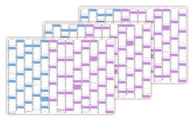 3x Schuljahreskalender DIN A1 2024/25 13 Monate August 2024-August 2025 gerollt