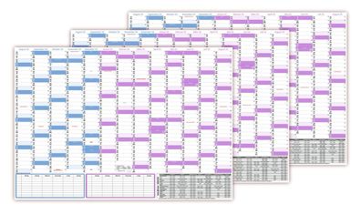 3x Schuljahreskalender DIN B1 2024/25 13 Monate August 2024-August 2025 gerollt