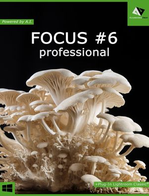 Focus #6 Professional -Accelerated Vision -Fotobearbeitung - PC Download Version