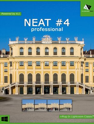 Neat #4 Professional Accelerated Vision - Fotobearbeitung - PC Download Version