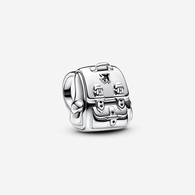 Charm Pandora 793351C00