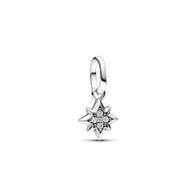 Charm Pandora 793370C01