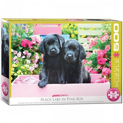 Eurographics 6500-5462 Schwarze Labradore in einer rosa Schachtel 500 Teile Puzzle