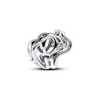 Charm Pandora 793345C01