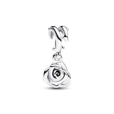 Charm Pandora 793213C00