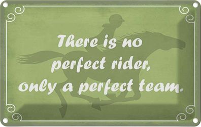 Blechschild 20x30 cm - There Is No Perfect Rider Only