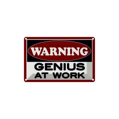 vianmo Blechschild 18x12 cm gewölbt Warnung Warning Genius at work