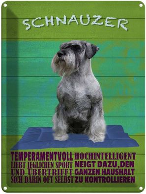 Blechschild 30x40 cm - Schnauzer Hund Temperamentvoll