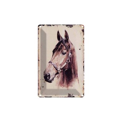 Blechschild 18x12 cm - Retro Portrait Pferd Kopf