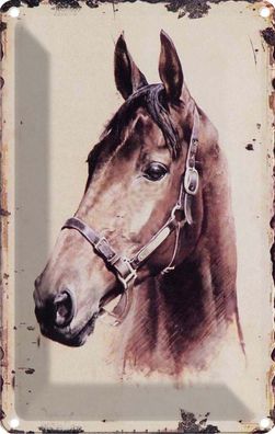 Blechschild 20x30 cm - Portrait Pferd Kopf