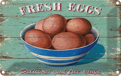 Blechschild 20x30 cm - fresh eggs Frische Eier