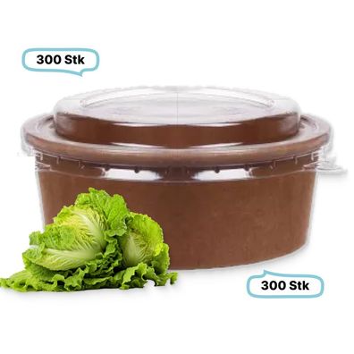 SET: Salatboxen Salatschalen braun 500ml + RPET Deckel, 300 Stück, to go, take away,