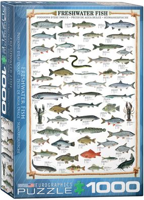 EuroGraphics 6000-0312 Süßwasserfische 1000 Teile Puzzle