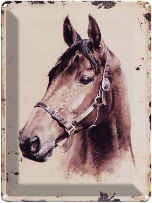 Blechschild 30x40 cm - Retro Portrait Pferd Kopf