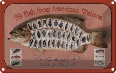 Blechschild 20x30 cm - Fisch 39 Fish from american Waters