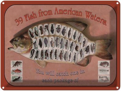 Blechschild 30x40 cm - Fisch 39 Fish from american Waters