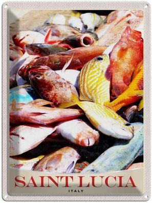 Blechschild 30x40 cm - Saint Lucia Italien Europa Fische