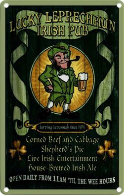 Blechschild 20x30 cm - Bier Irish Pub open daily from 11am