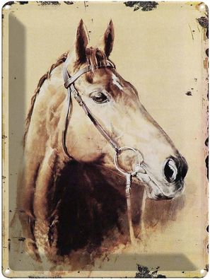 Blechschild 30x40 cm - Retro Portrait Pferd Kopf