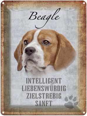 Blechschild 30x40 cm - Beagle Hund