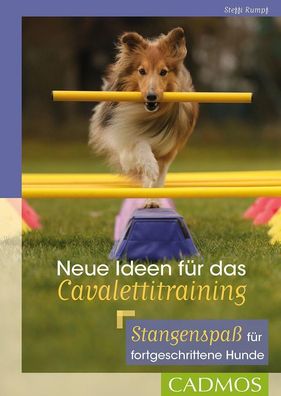 Neue Ideen f?r das Cavalettitraining, Steffi Rumpf