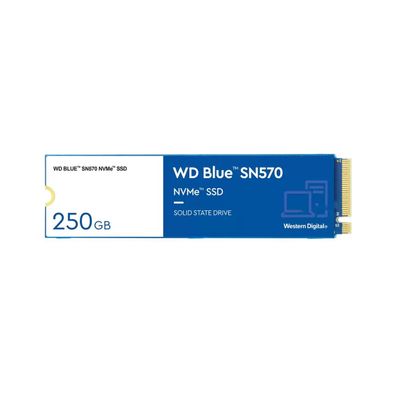 WD WD Blue SN570, 250 GB, M.2, 3300 MB/ s