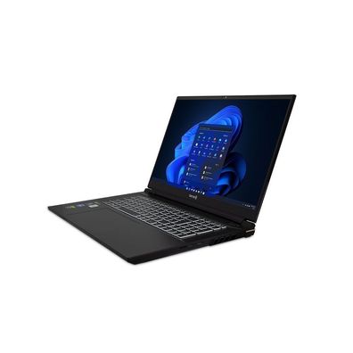 TERRA MOBILE GAMER ELITE 5v3 i9-14900HX W11P - Notebook - Core i9