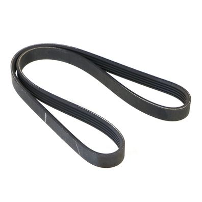 Stretchy-belt 5K0926 73501904