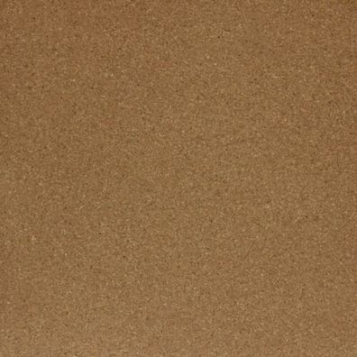 34,92€/ m²) 1x Kork Platte 210 x 297 mm 0,4 mm Textilrücken