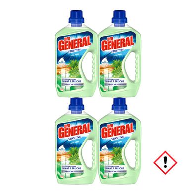 Der General Bergfrühling Frühlingsduft Aloe Vera 750ml 4er Pack