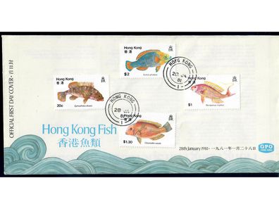 Hongkong FDC, Jahrgang 1981 komplett, ohne Freimarken, (nach Michel), 3 FDC