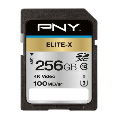 PNY Elite-X, 256 GB, SDXC, Klasse 10, UHS-I, 100 MB/ s, Class 3 (U3)