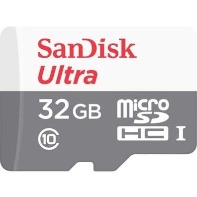 SanDisk Sdsqunr-032g-gn3mn, 32 GB, MicroSDHC, Klasse 10, Class 1 (U1), Grau, Weiß